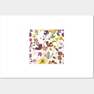 Pressed summer flowers seamless. Dry flowers composition. Romantic Spring blossom. Vibrant botanical print Posters and Art